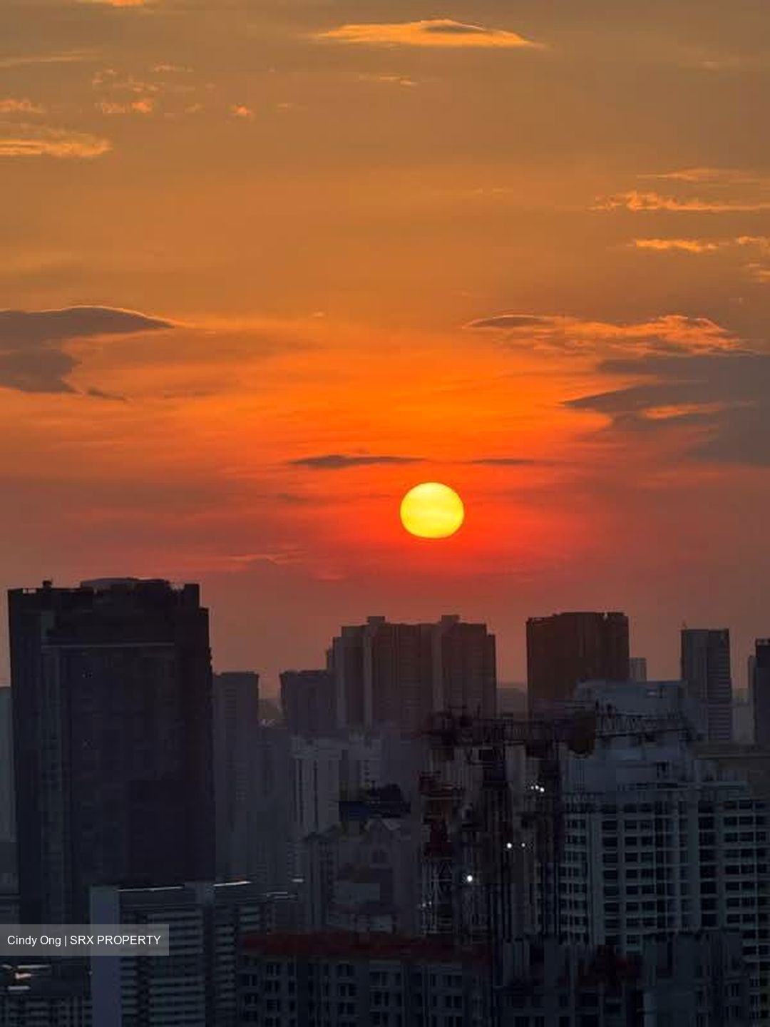 The Landmark (D3), Condominium #555605931